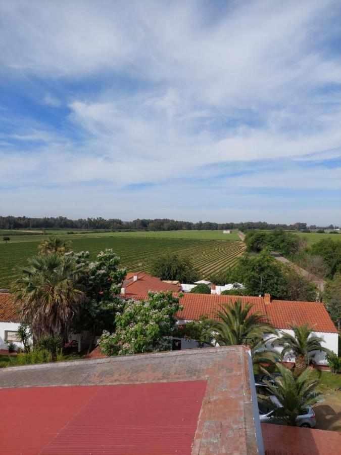 Hotel Rural Villa Torreaguila Badajoz Extérieur photo